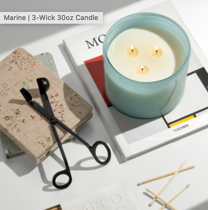 LAFCO Marine Scented Soy Candle - Long-Lasting Aromatherapy for Relaxation, Spa, and Home Decor