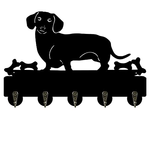 Dachshund