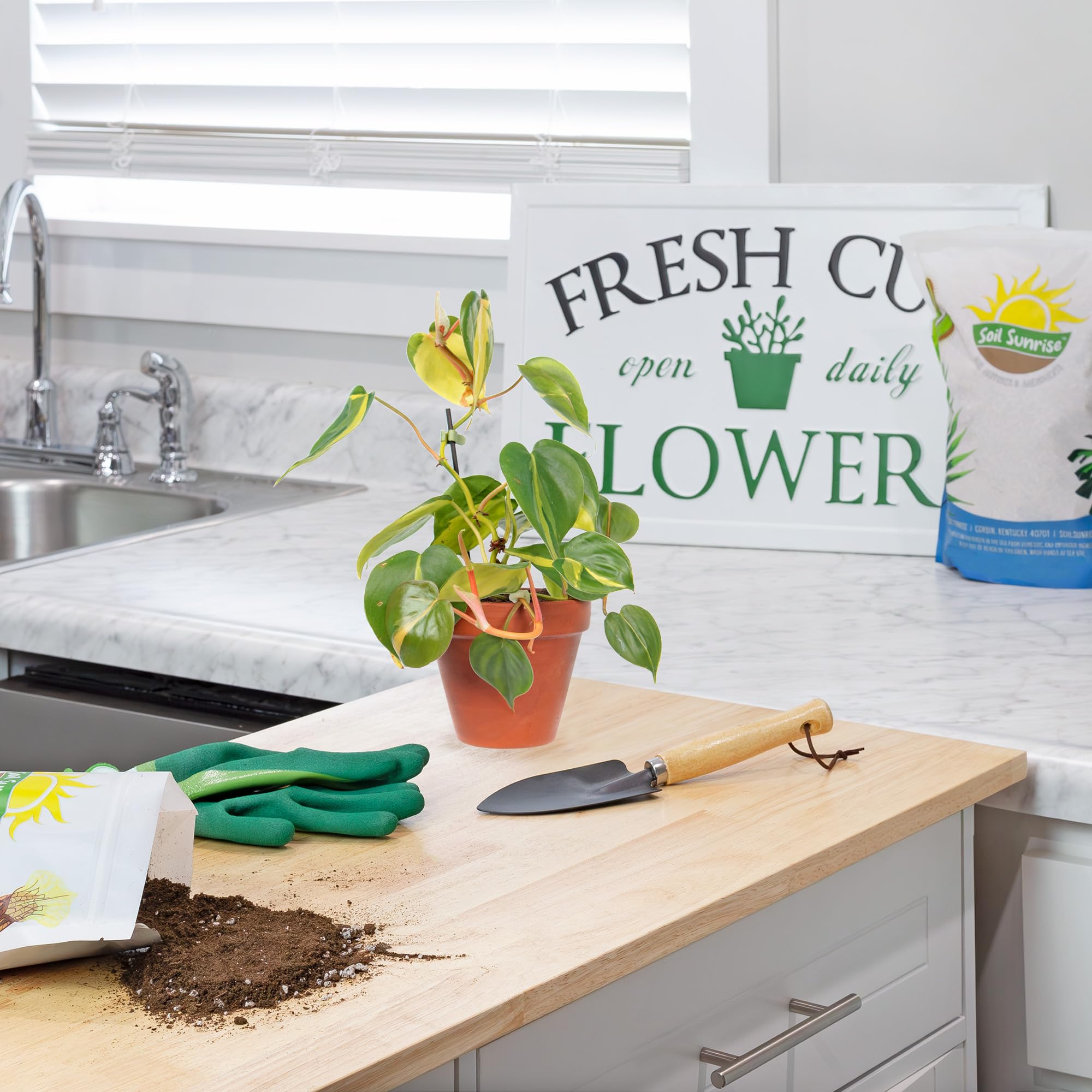 Premium Tropical House Plant Potting Soil Mix - 2 Quarts | Nutrient-Rich Blend for All Indoor Plants | Perfect for Monstera, Pothos & Philodendron | Ideal for Repotting & Healthy Growth