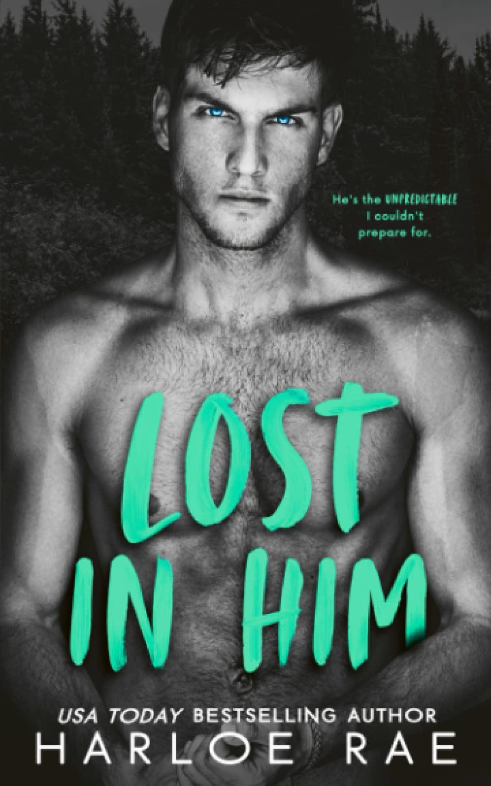 Lost in Him: A Small Town Standalone Romance Novel - Perfect for Beach Reading & Cozy Nights by the Fireplace