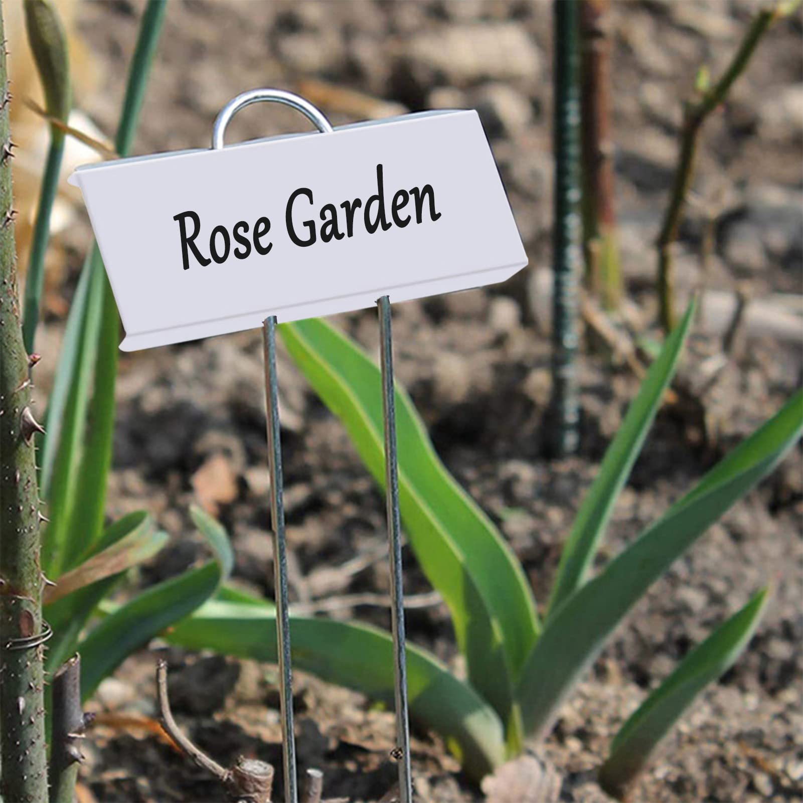 30pcs Waterproof Metal Plant Labels - 11inch Garden Markers for Outdoor Plants, Seedlings, Herbs & Vegetables - Durable Greenhouse & Gardening Gift (White) - Perfect for Organizing Your Garden, Greenhouses & Plant Nurseries