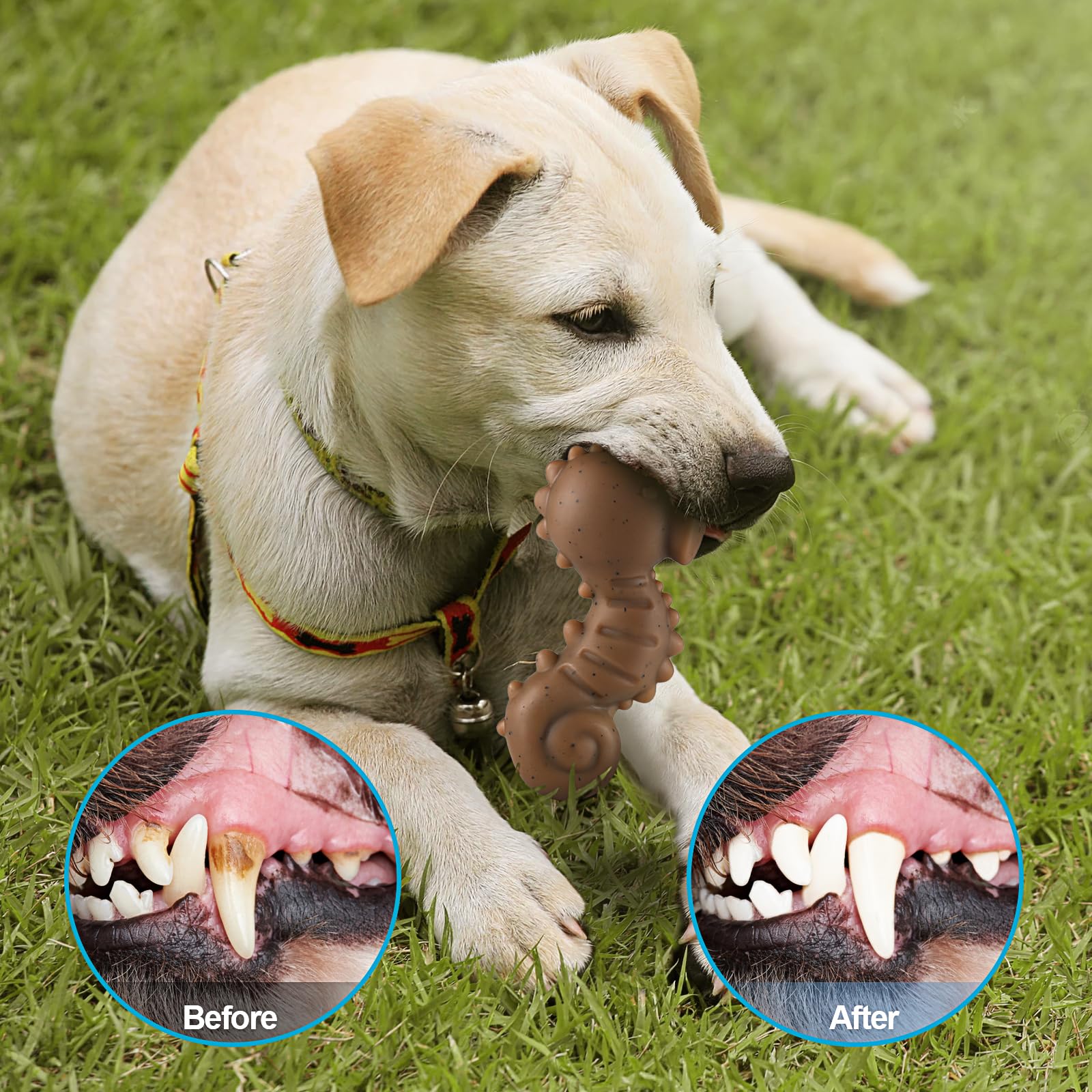 Durable Nylon Dog Chew Toys for Aggressive Chewers - 3 Pack Indestructible Pet Toys for Large, Medium & Small Breeds | Tough Puppy Chewers Gift for Training & Playtime