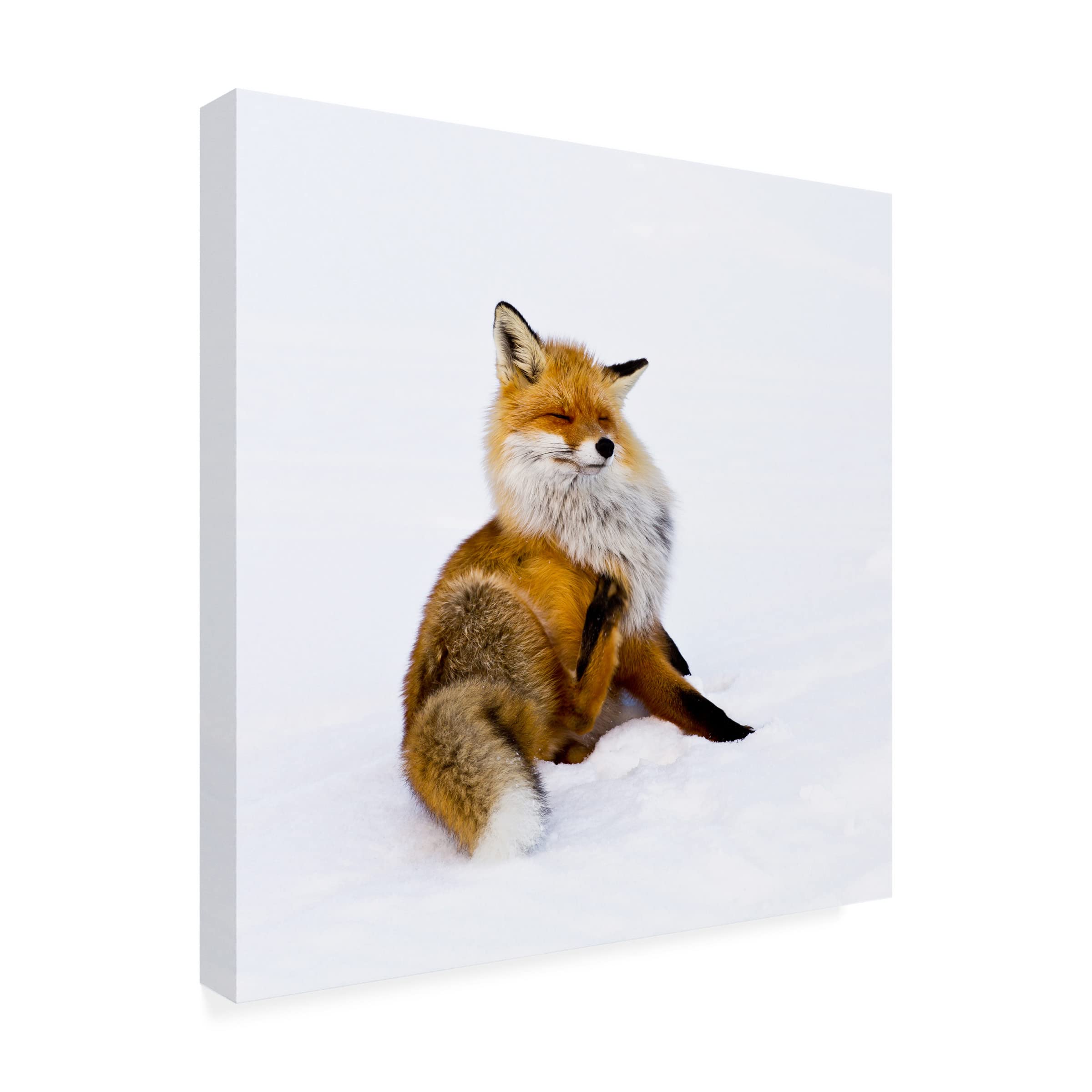 Pia Lindström 'Winterfox' Canvas Art Print - Premium Trademark Fine Art for Home & Office Decor - Perfect for Living Room, Bedroom, or Gift