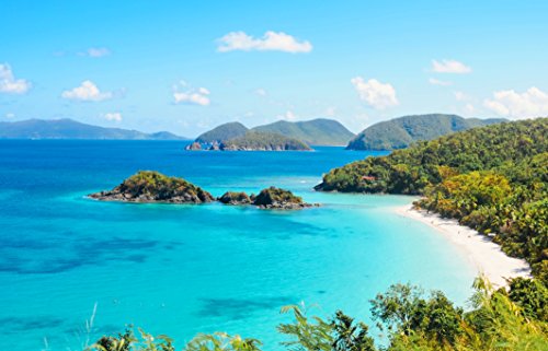 Ocean View Islands Tropical N69