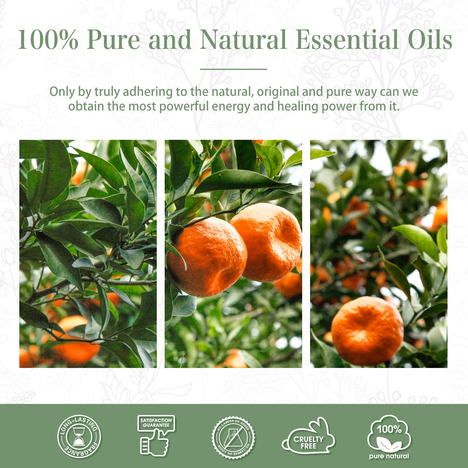 Pure Natural Mandarin Essential Oil 30ml - 100% Pure Aromatherapy Oil for Diffusers, Humidifiers, Massage & Relaxation - PHATOIL Mandarin Oil for Stress Relief & Mood Enhancement
