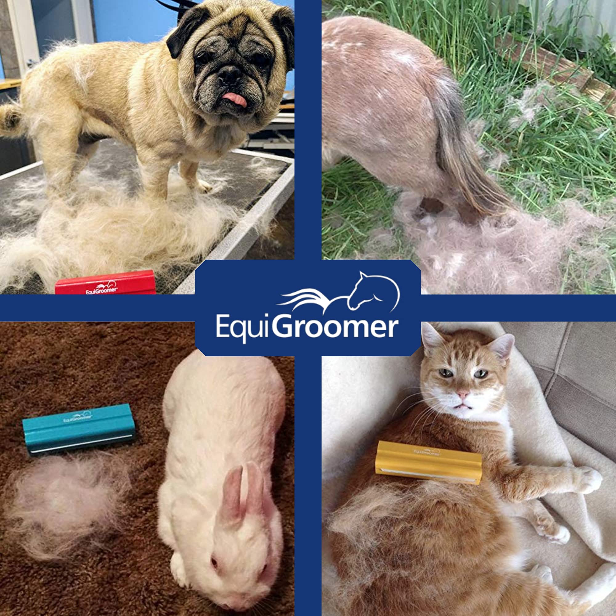 EasyGroomer Deshedding Brush for Dogs & Cats - Undercoat Tool for Large & Small Pets | Removes Loose Hair, Fur & Dirt | Perfect for Short & Long Hair Grooming | Orange Pet Brush for Home, Travel & Professional Use