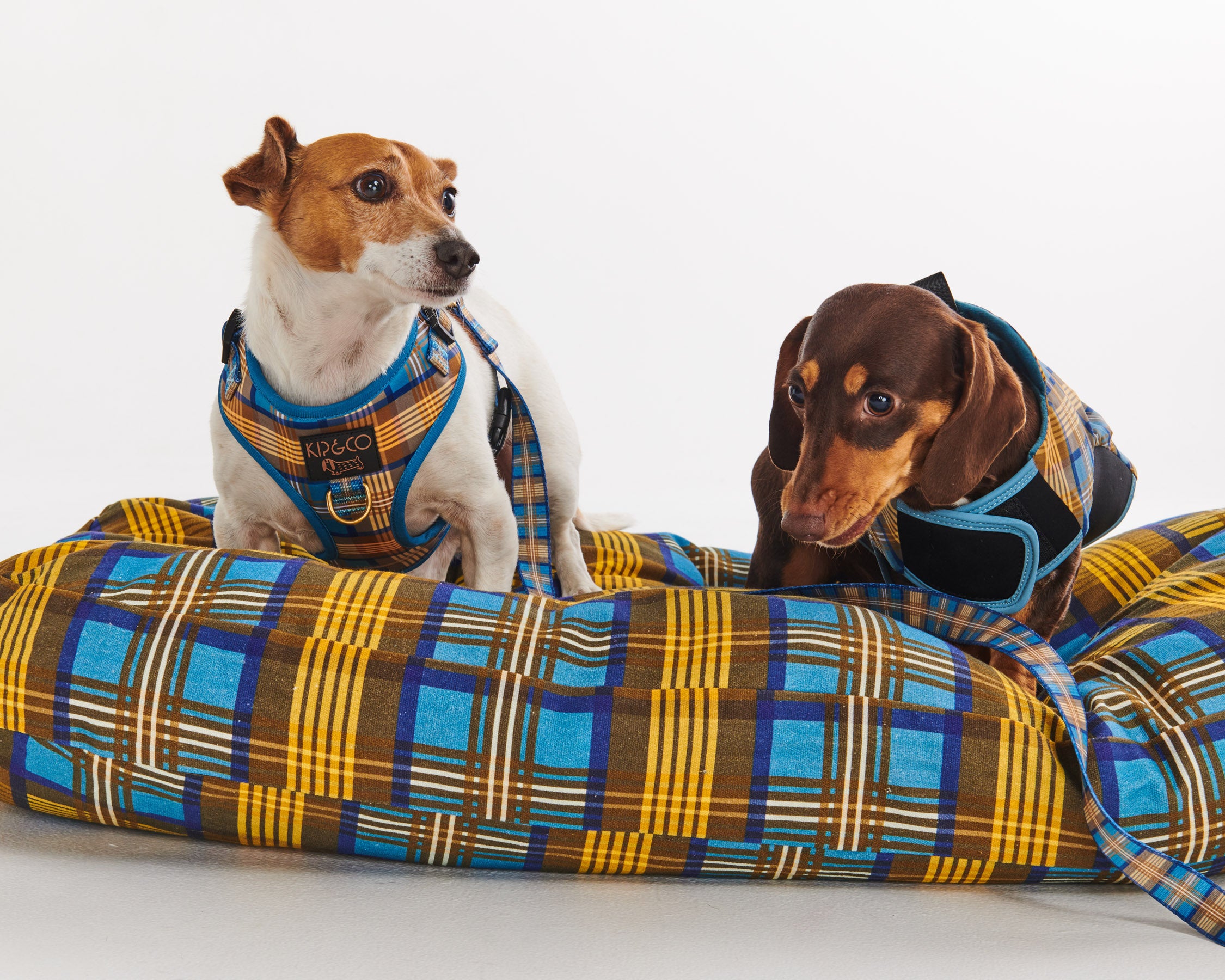 Cozy Tartan Dog Harness - Adjustable Soft Plaid Pet Vest for Small & Medium Dogs - Perfect for Walking, Hiking & Outdoor Adventures