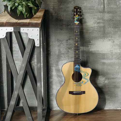 Solid Guitar W/ Hard Case