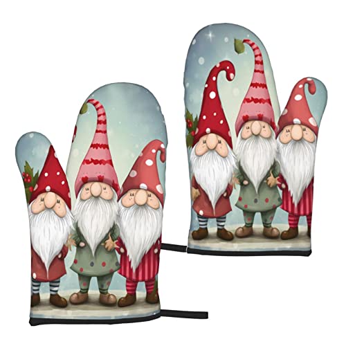 Christmas Gnome