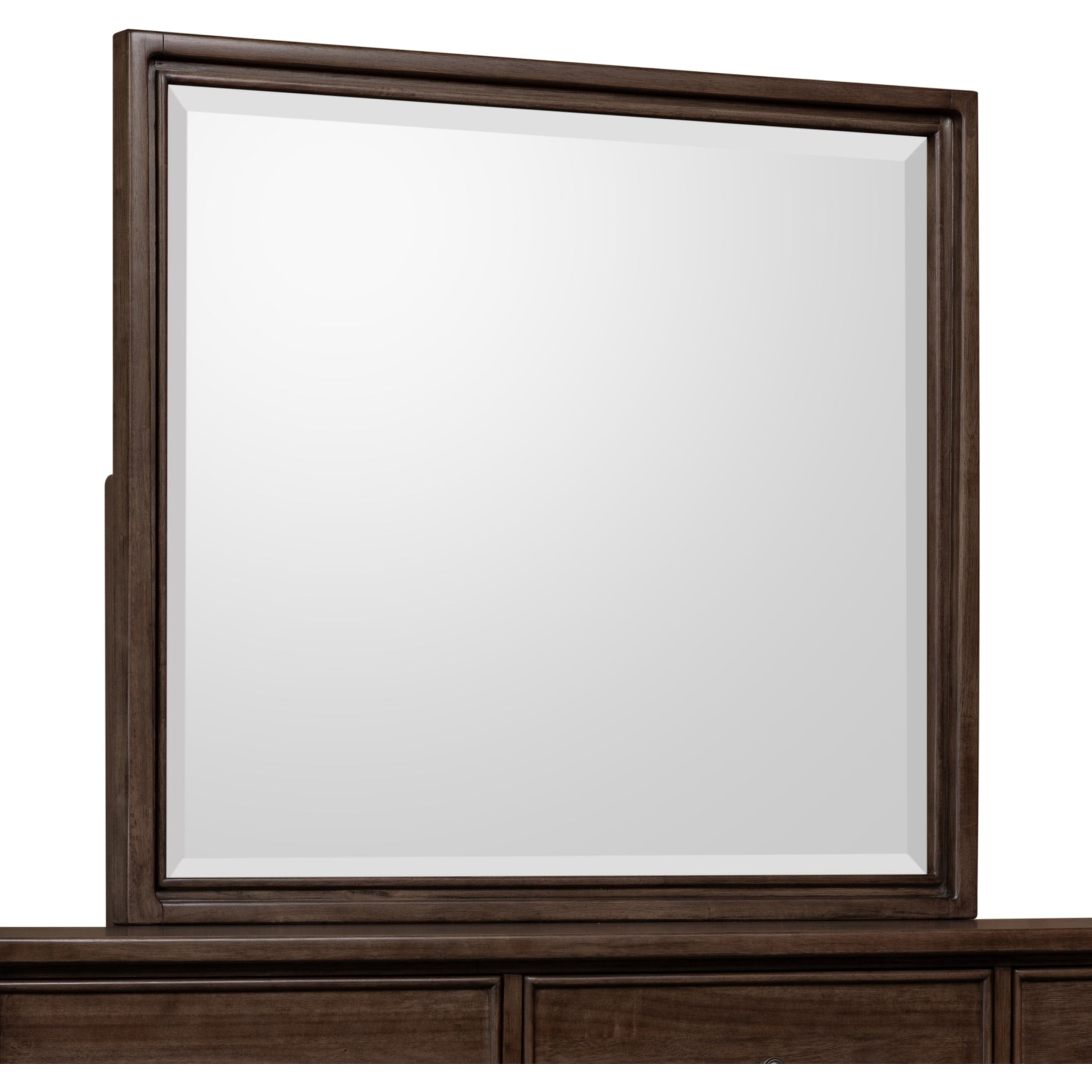 Carlisle Doctors Mirror PCN Pie - High-Quality Medical Examination Mirror for Dentists & Physicians | Perfect for Dental Clinics, Hospitals & Home Use