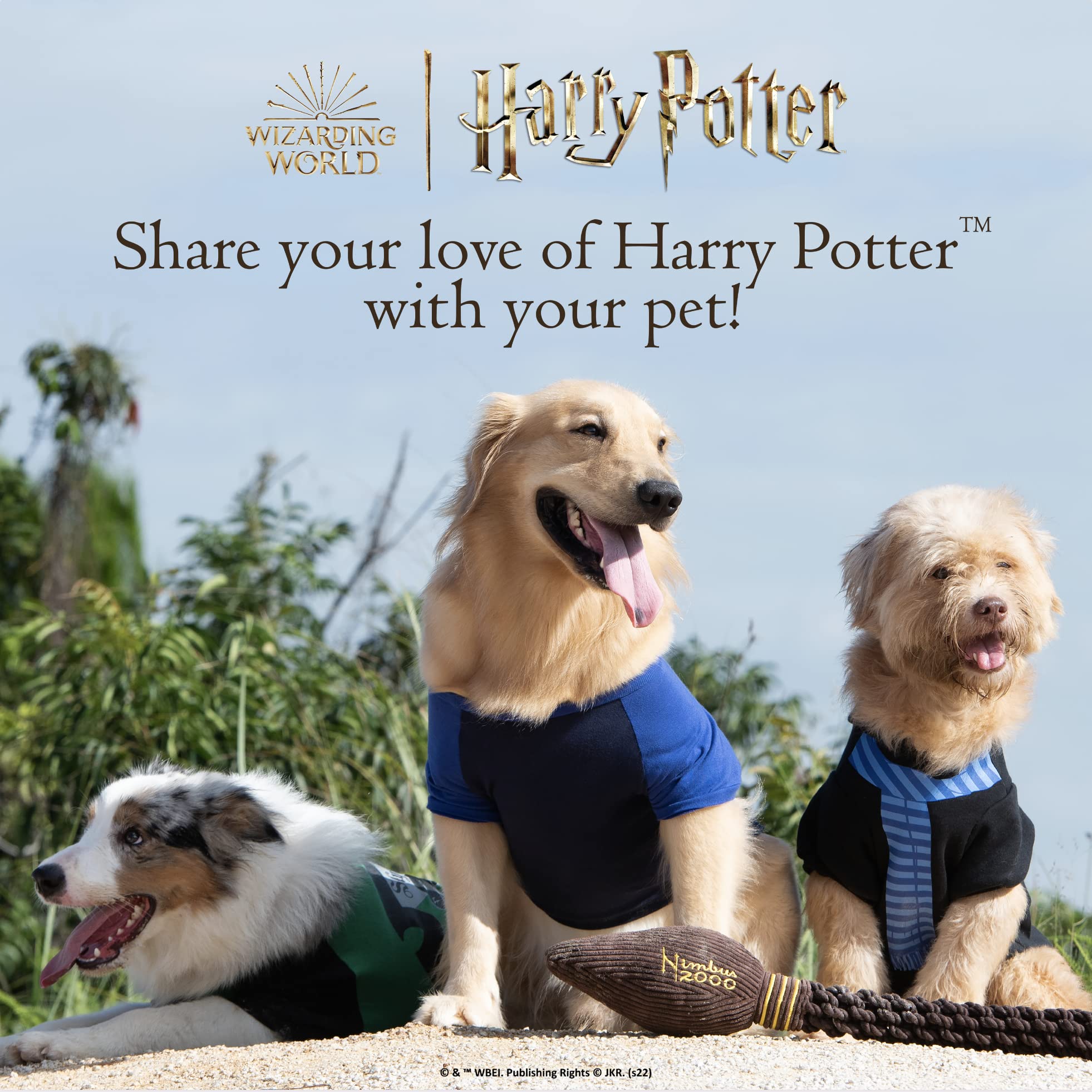 Harry Potter Slytherin Dog Collar - Adjustable Small Pet Collar for Puppies & Small Dogs | Hogwarts House Themed Pet Accessories | Perfect for Cosplay, Halloween Costumes & Harry Potter Fans