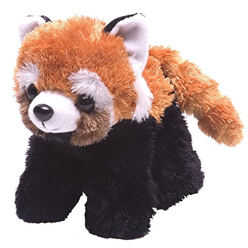 Red Panda