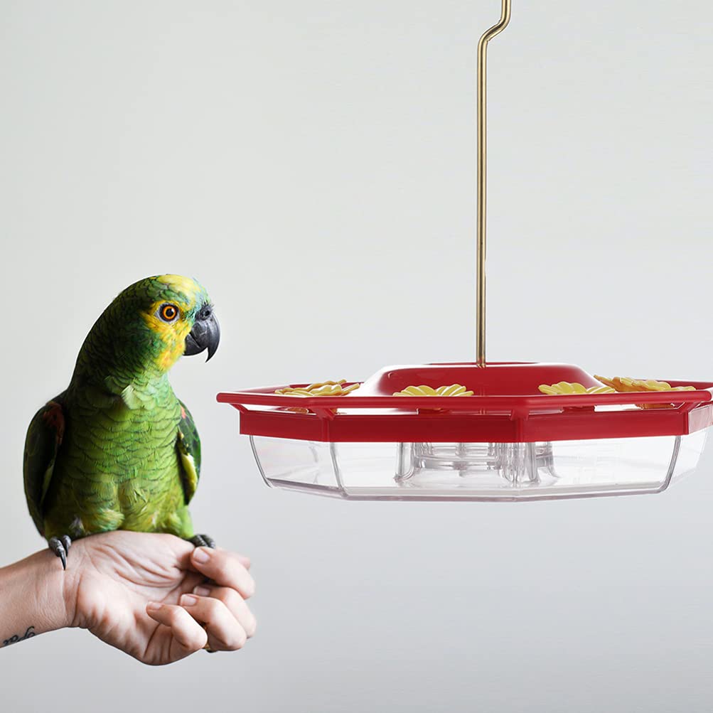 16 Pcs Plastic Bird Feeder Flowers - Outdoor Pet Bird Feeding Tool & Garden Decor for Wild Birds - Attract Hummingbirds & Enhance Your Backyard