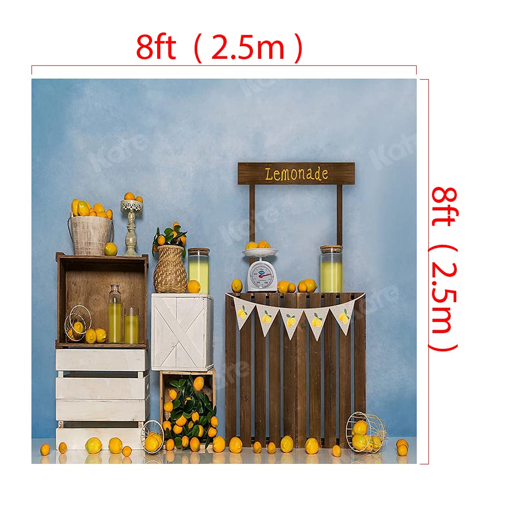 8x8ft Lemon Cake Smash Photography Backdrop - Summer Themed Birthday Party Background for Baby Shower, 1st Birthday Photos & Cake Smash Sessions