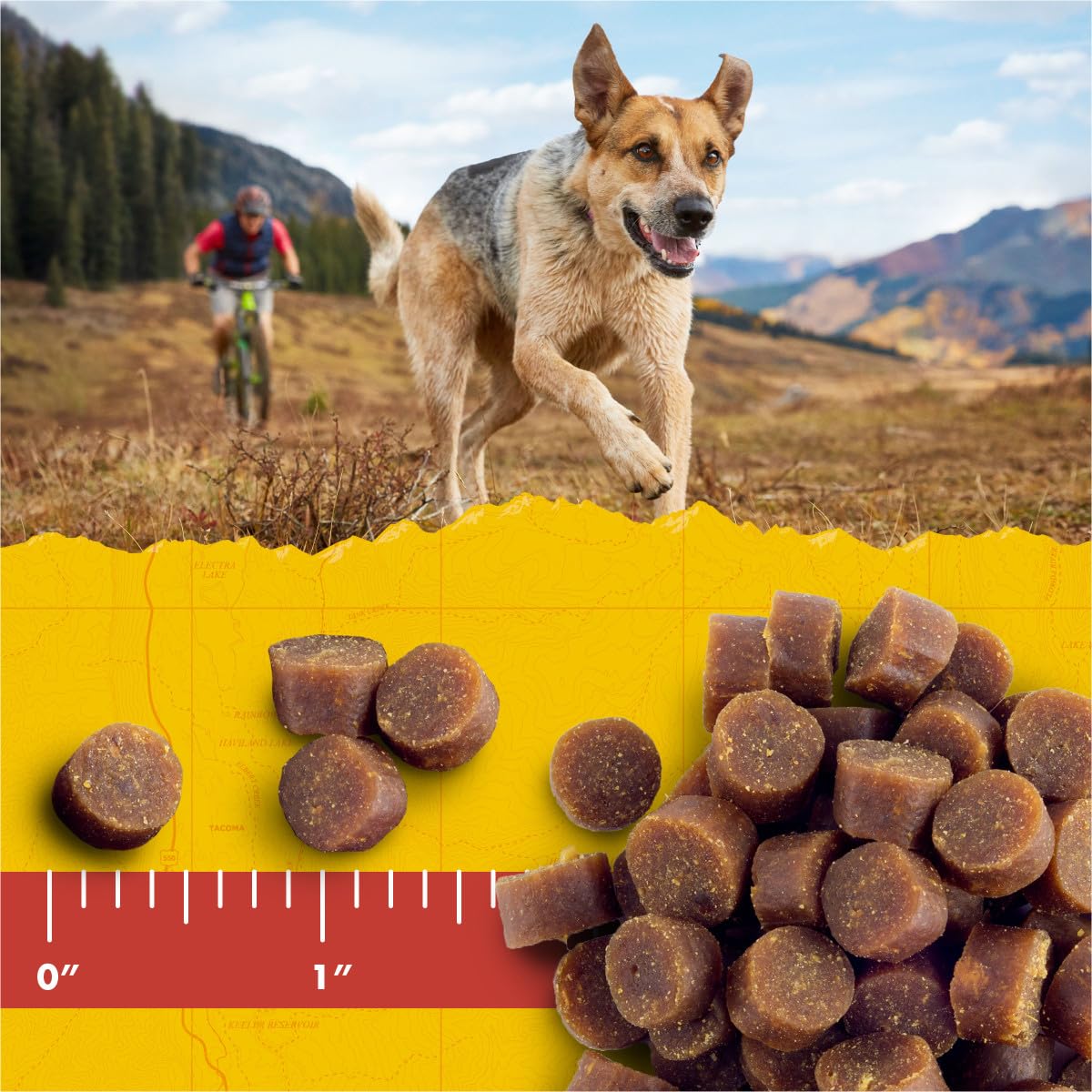 Zuke's Mini Naturals Salmon Recipe Dog Training Treats - Soft & Nutritious with Vitamins & Minerals for All Breeds - 16oz Pack - Perfect for Obedience Training & Positive Reinforcement