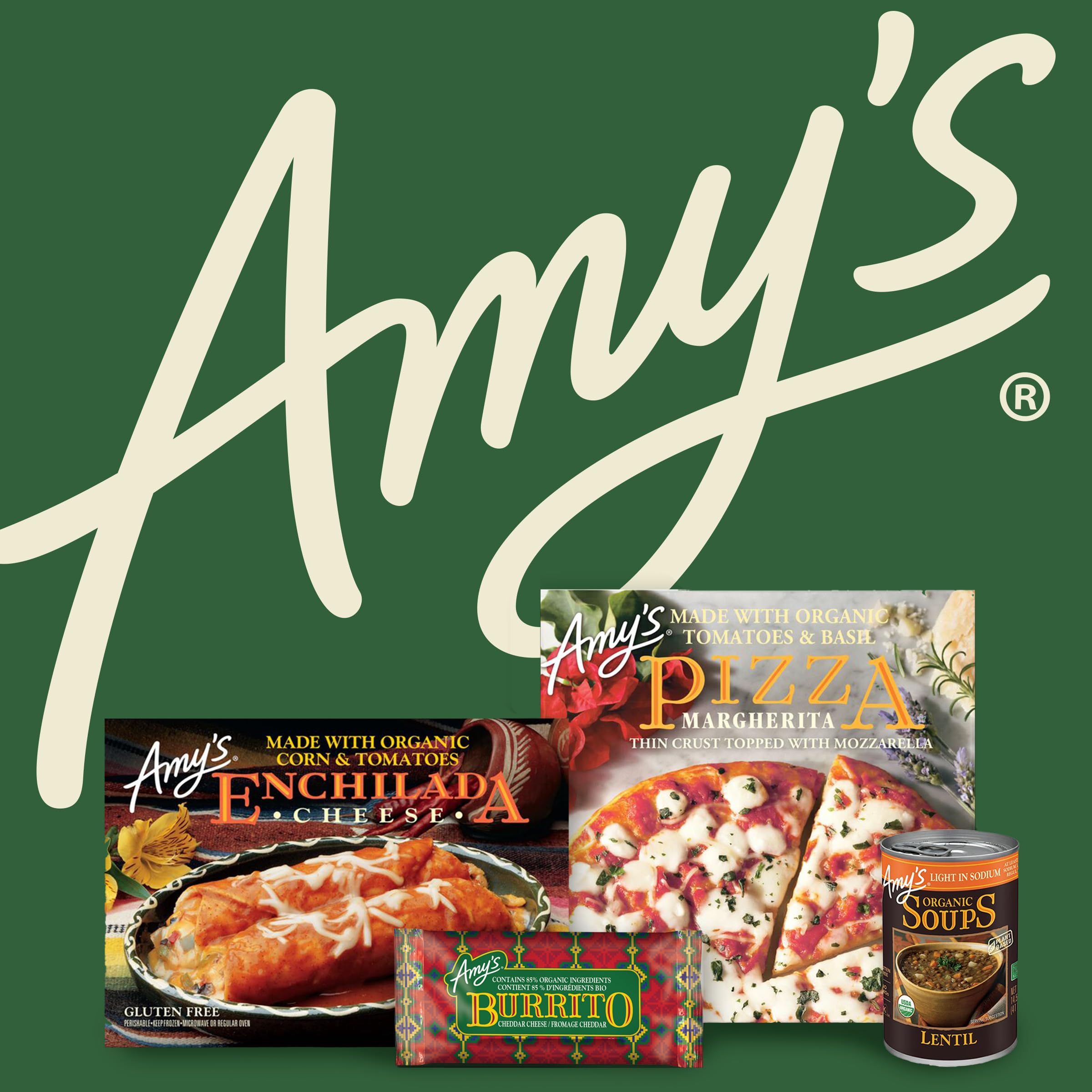 Amy's Vegan Tofu Scramble Frozen Meal - Organic Tofu with Vegetables & Hash Browns - Gluten Free, Microwave Ready - 9 Oz - Perfect for Quick Lunches, Office Meals & Healthy Vegan Dinners