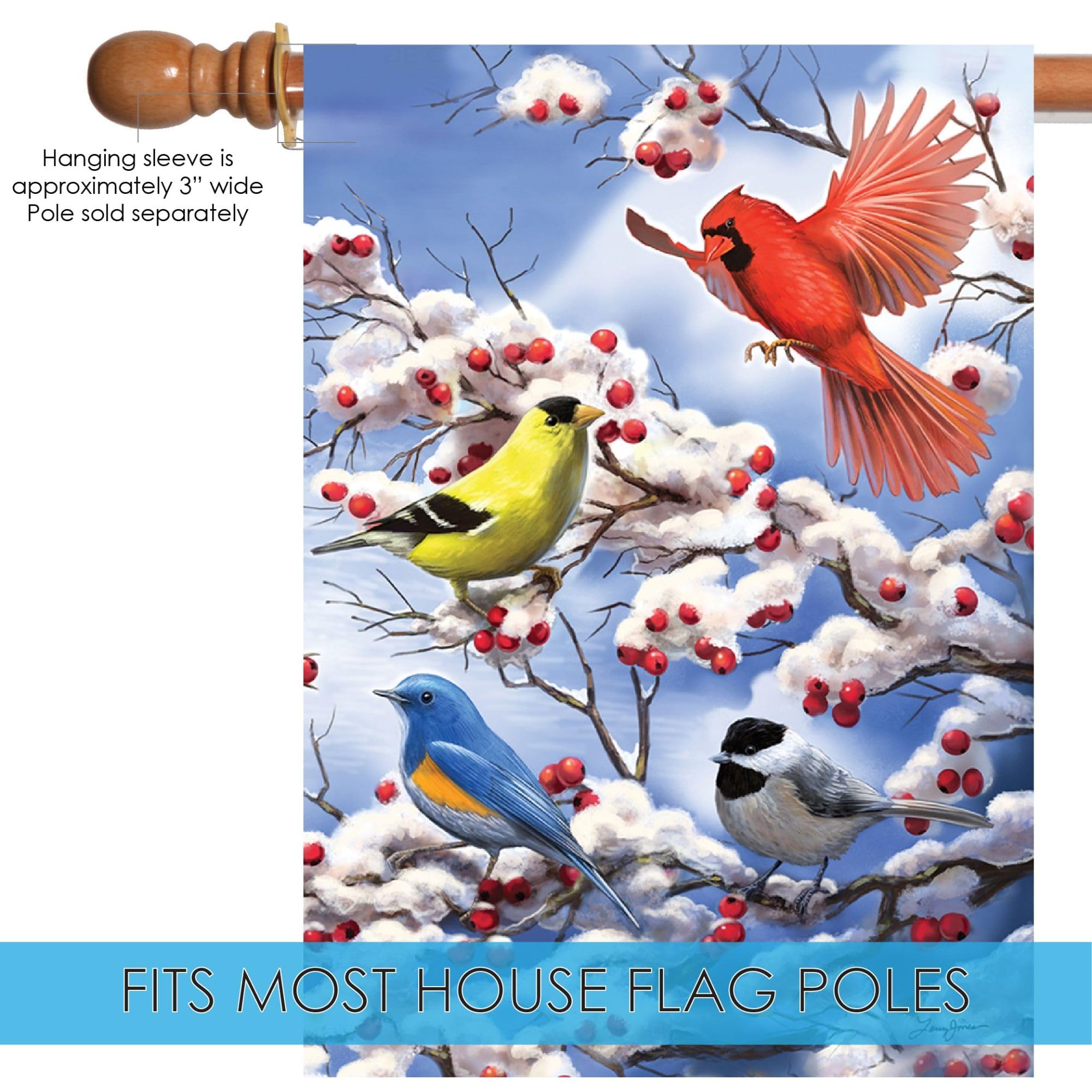 Toland Home Garden 1010478 Finch and Cardinal Winter Flag - 28x40 Inch Double Sided Outdoor Garden Flag with Bird Design - Perfect for House Yard Decoration in Winter Season | Ideal for Front Porch, Lawn, and Seasonal Holiday Decor