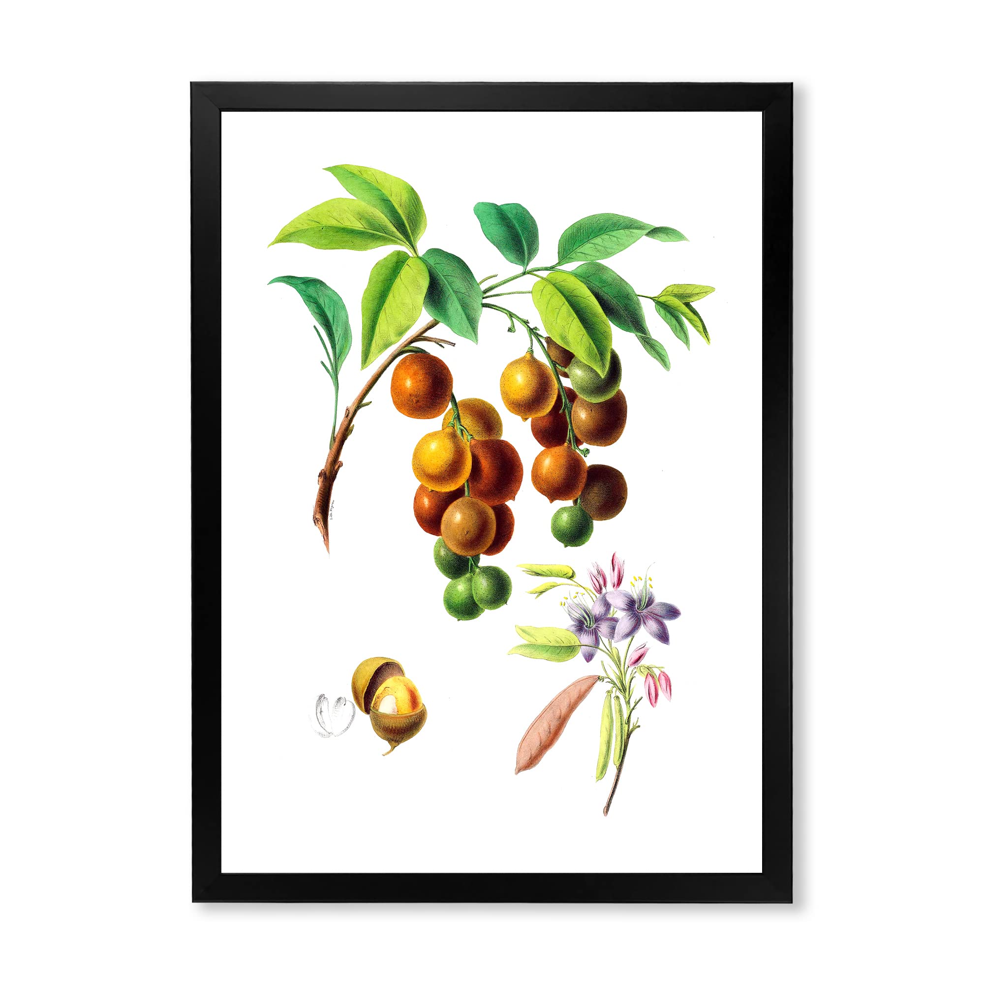 Vintage Fruits III Farmhouse Framed Wall Art - Rustic Kitchen Decor for Home, Dining Room & Country Style Interior Design