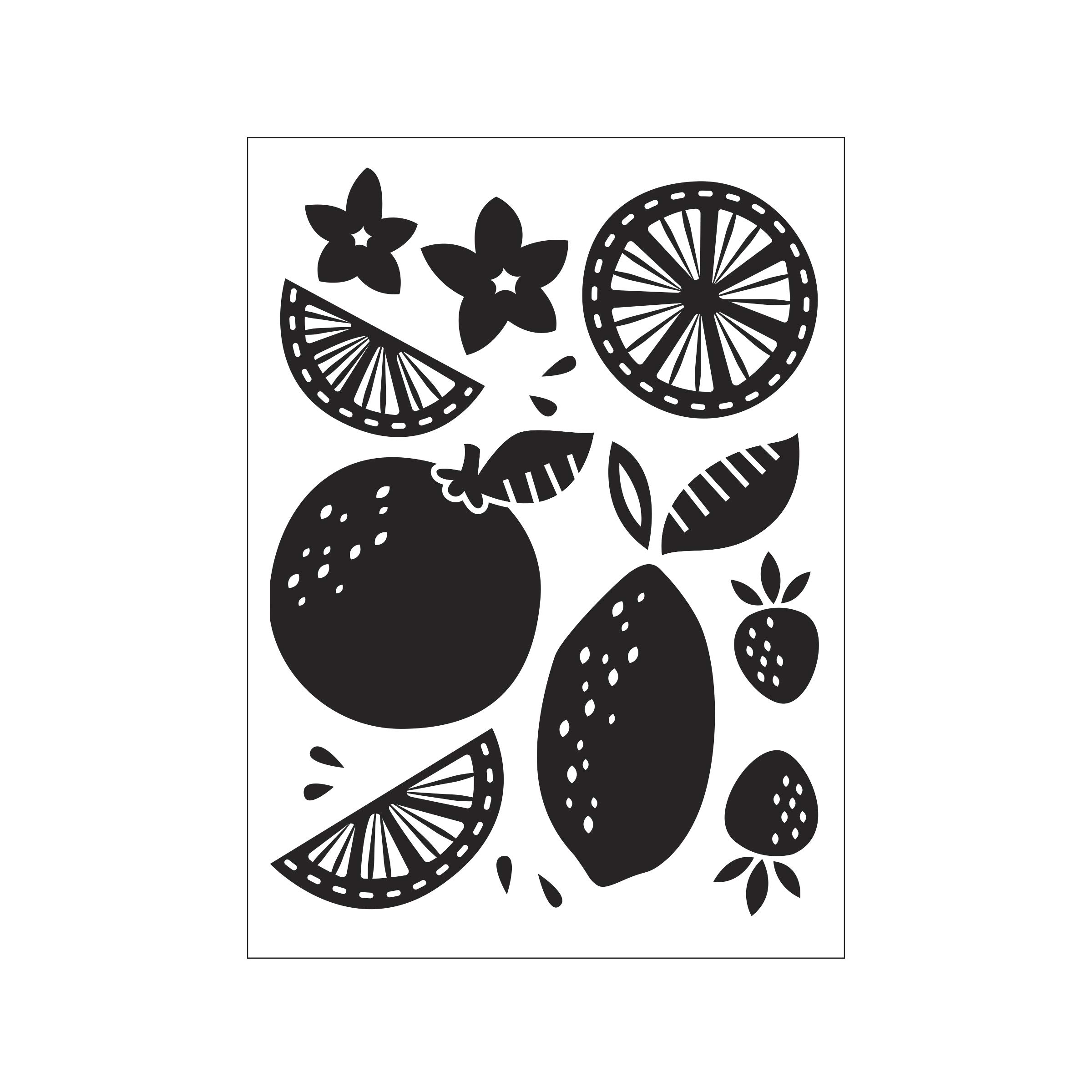 Darice A6 Embossing Folder - Citrus Fruit Variety Design for Card Making, Scrapbooking & DIY Crafts | Transparent Template for Stamping & Paper Crafting