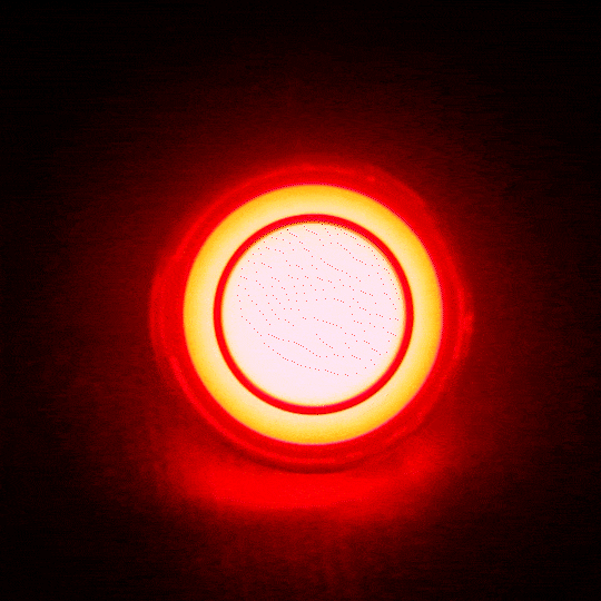 Eagle Lights HALOS 2 Rear LED Turn Signals for Harley Davidson Motorcycles - 1156 Base Red Bulbs - High Visibility Brake Lights for Night Riding & Safety
