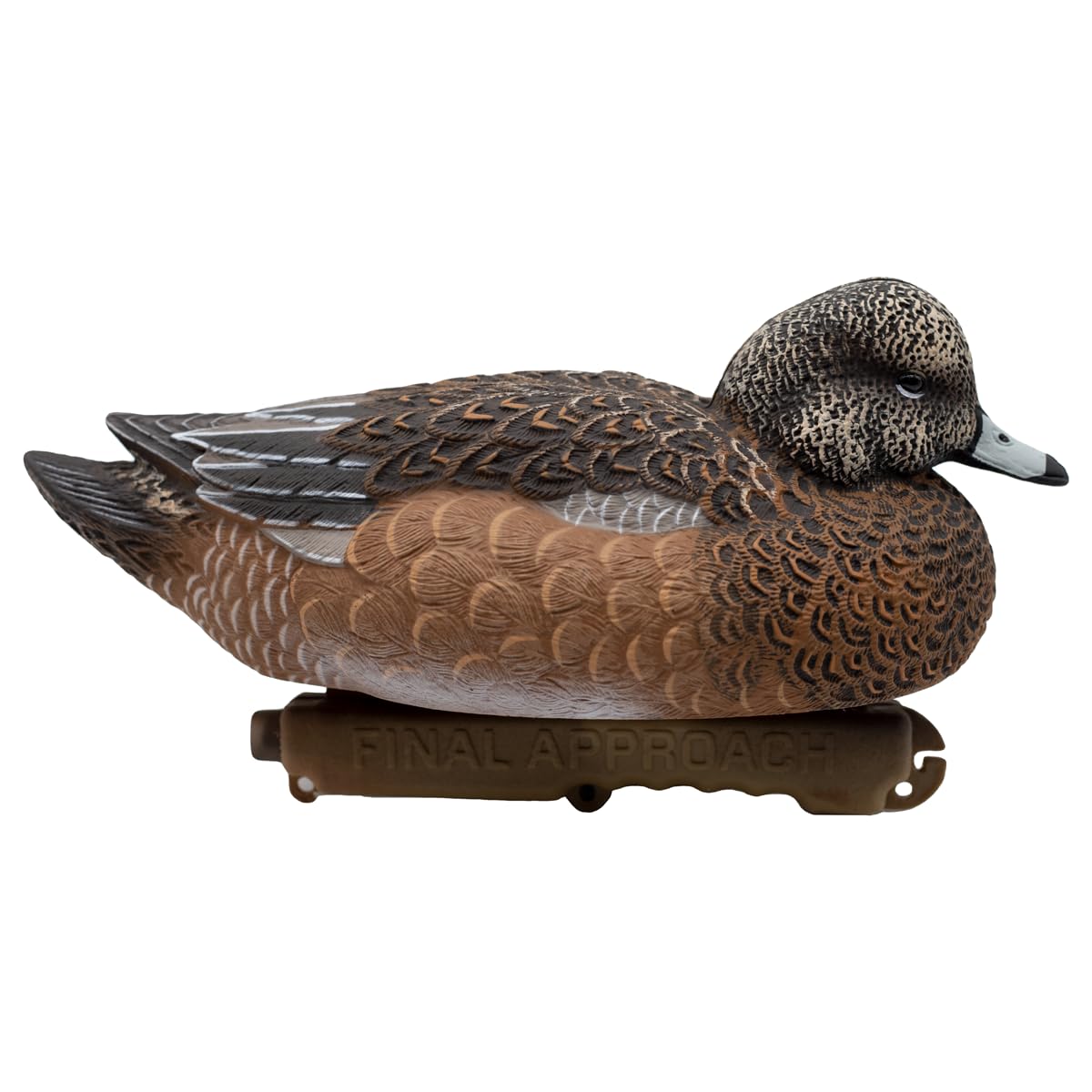 Final Approach Live Wigeon Floater Duck Decoys - 6 Pack Realistic Brown Hunting Decoys for Waterfowl Hunting & Outdoor Wildlife Attraction