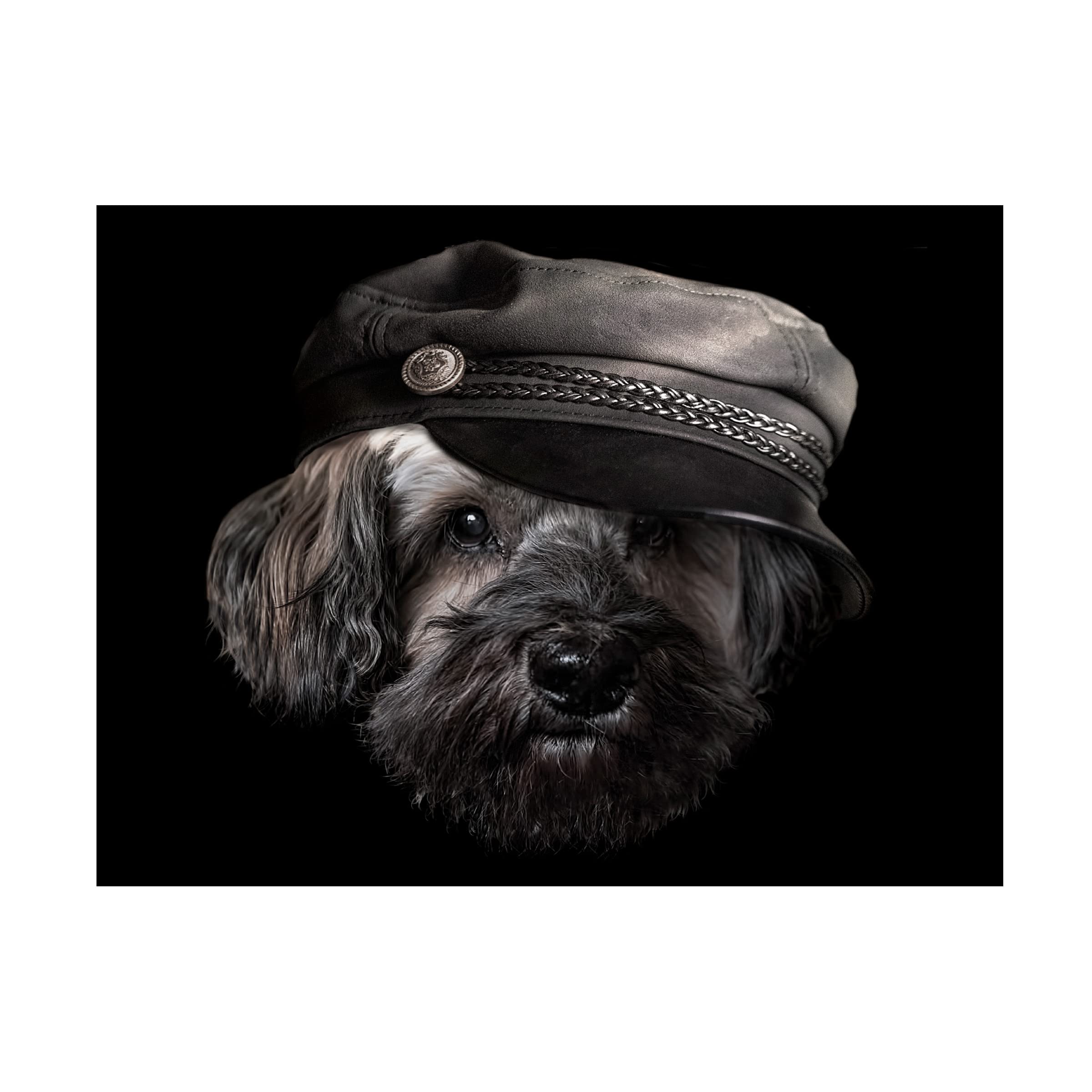 Trademark Fine Art 'Dog with Hat' Canvas Wall Art by Lori Hutchison - Perfect for Living Room, Bedroom & Office Decor