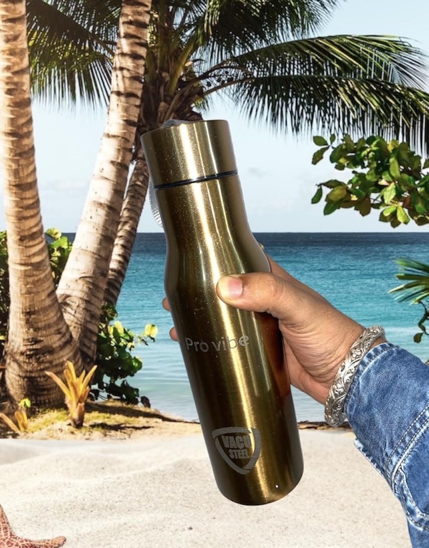 LAL Dayal ProVibe Fashion 800ml Stainless Steel Vacuum Insulated Water Bottle - Keeps Drinks Hot/Cold for 24 Hours - Ideal for Gym, Hiking, Office & Travel (Model 10081526)