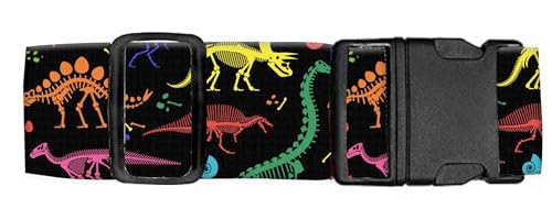 Cute Colorful Dinosaurs