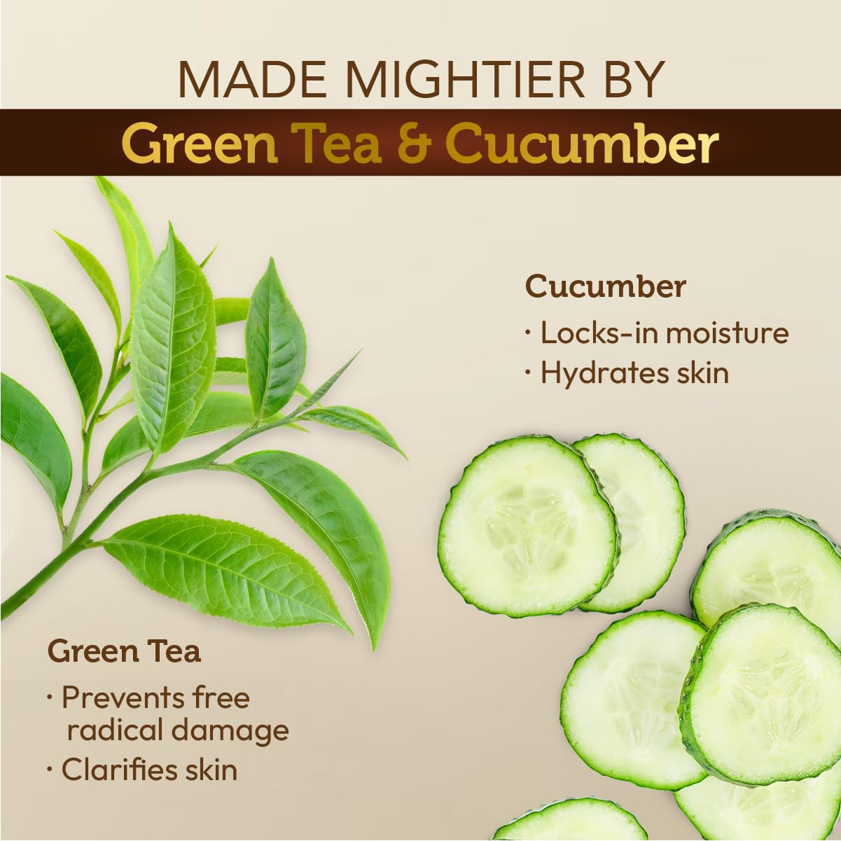 Stbotanica Aloe Vera, Green Tea & Cucumber Body Wash - 250ml | Natural Hydration & Skin Refresh | Paraben & Sulfate Free | Cruelty-Free & Vegan | Perfect for Daily Shower & Sensitive Skin Care