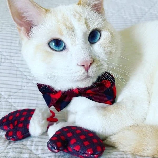 Huxley & Kent Soft Mittens Cat Toy for Kittens - Interactive Play & Cuddling Pet Accessories - Perfect for Indoor Play, Training & Bonding with Your Feline Friend
