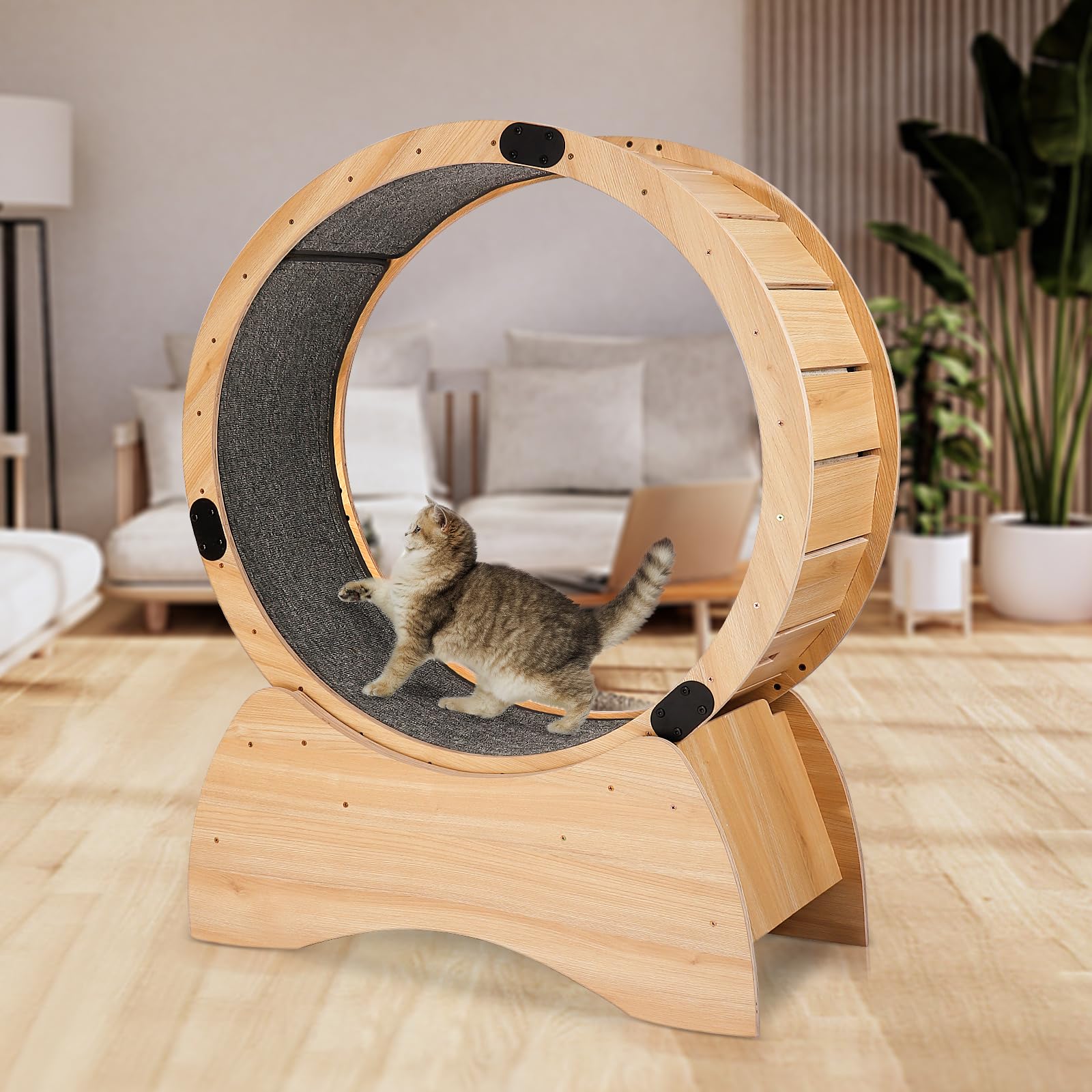 Premium Solid Wood Cat Exercise Wheel - Natural Oak Pet Running Wheel for Weight Loss & Daily Fitness - Fun Spinning & Scratching Activity Toy for Indoor Cats