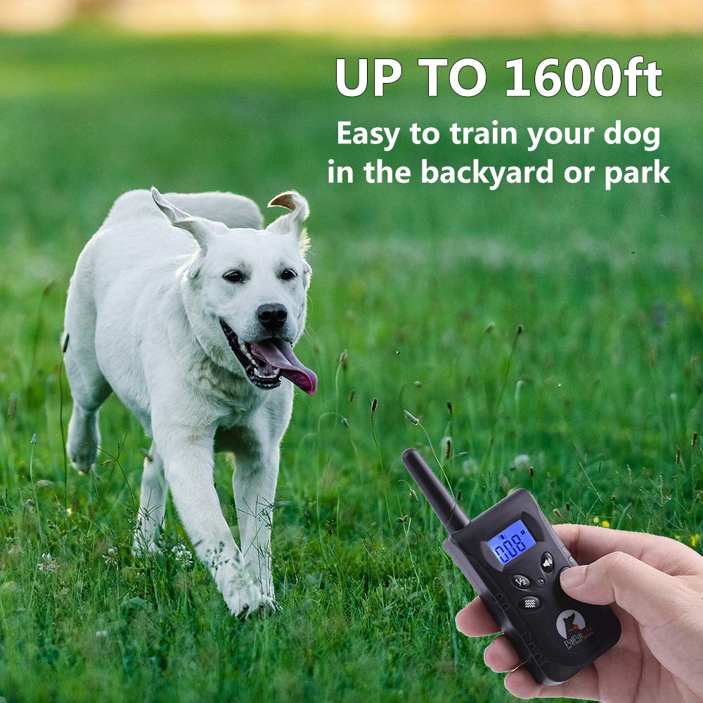 PaiPaitek No Shock Dog Training Collar with Remote - Lightest Rechargeable Vibration Collar for Small (5-15lbs) & Medium/Large Dogs - Waterproof, 1600ft Range, No Prongs - Perfect for Obedience Training, Bark Control & Outdoor Adventures