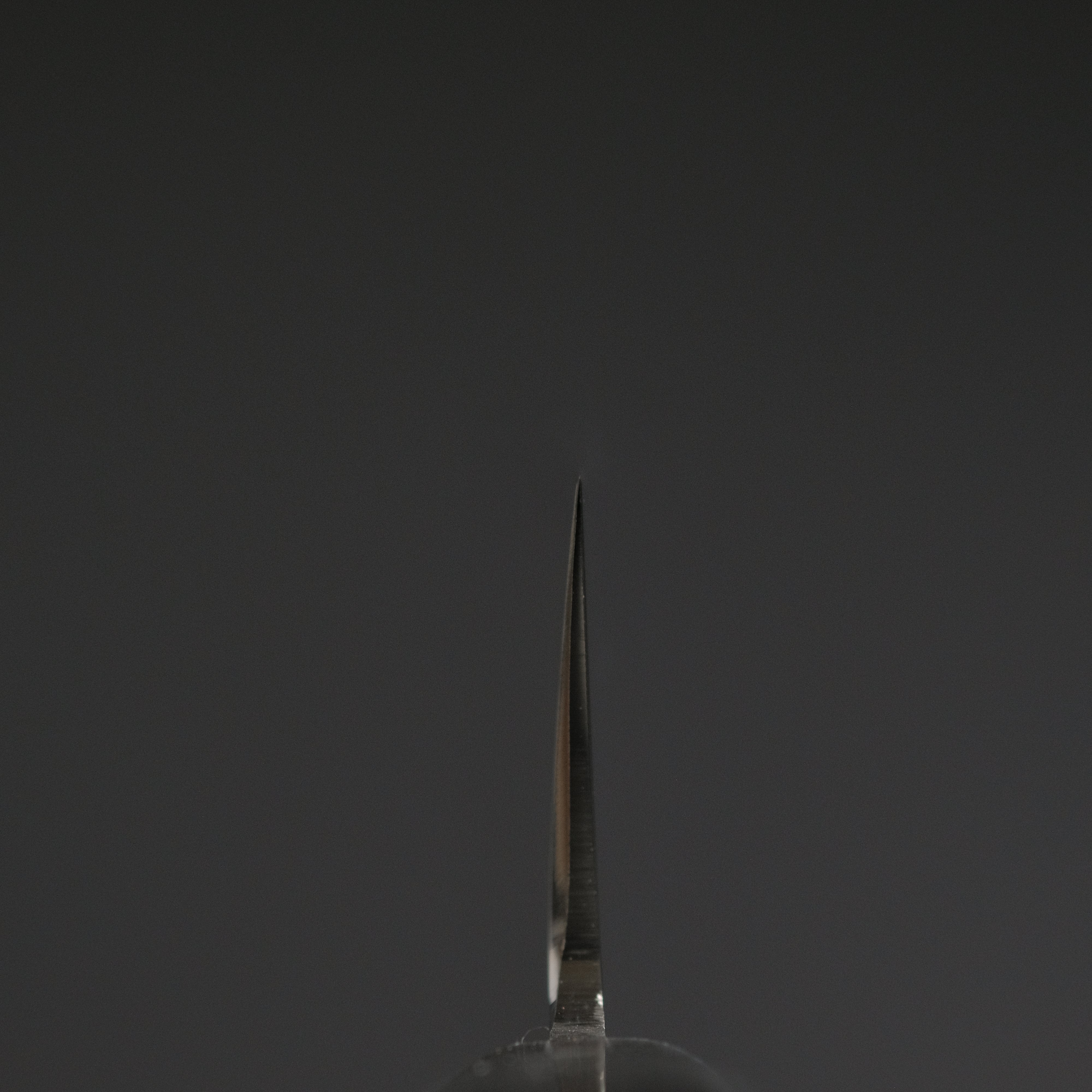 Hitohira FJ VG-10 Sujihiki Japanese Sushi Knife 270mm with Pakkawood Handle - Perfect for Slicing Sashimi, Sushi & Raw Fish