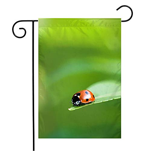 Beigehome,Black,Green