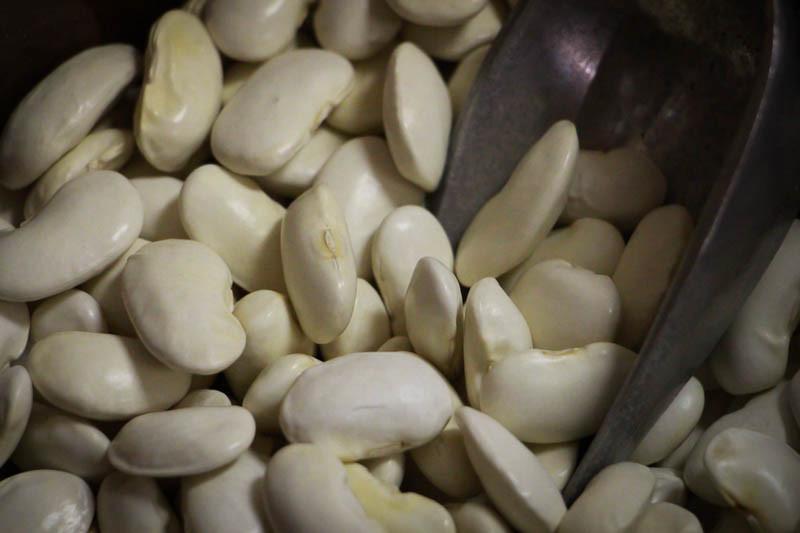 Rancho Gordo Royal Corona Beans 1 lb | Premium Large White Beans | Perfect for Soups, Stews & Traditional Italian Pasta e Fagioli