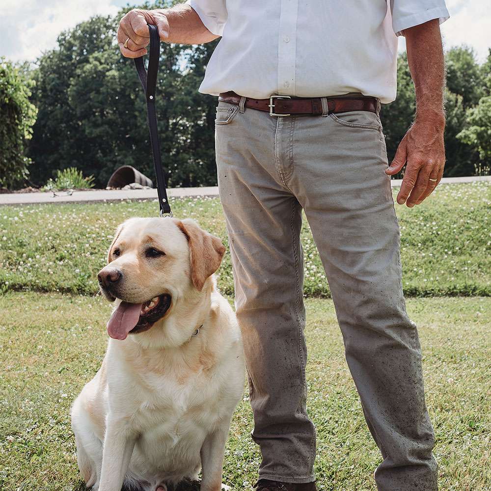 Premium Leather Dog Leash for Walking and Training - Heavy Duty, Adjustable, Comfortable Grip - Perfect for Large Dogs, Outdoor Adventures, and Daily Walks