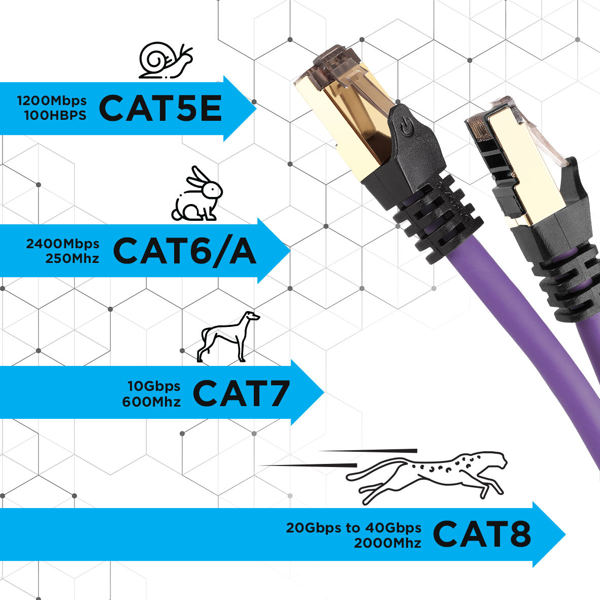 Duronic CAT 8 Ethernet Cable 2M (6.6ft) - High Speed 40Gbps, 2000MHz Shielded Network Cable with Snagless RJ45 Connector - Perfect for Gaming, Streaming & Home Office Setup (Purple)