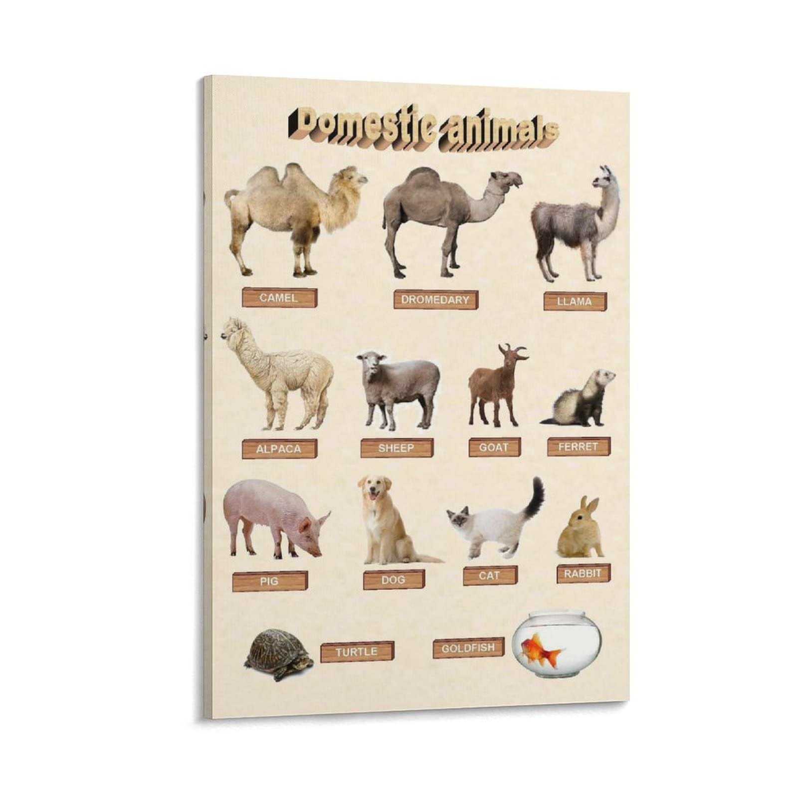 Kindergarten Classroom Decor - Animal Science Educational Posters for Kids | Vintage Domestic Animals Canvas Wall Art | 24x36 inch (60x90cm) Nursery & Children's Room Decor | Perfect for Playrooms, Daycares & Homeschooling Spaces