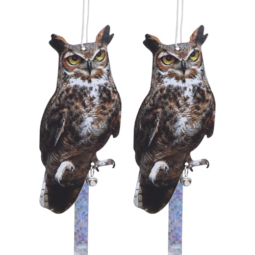 Mighty Hawks 2pcs