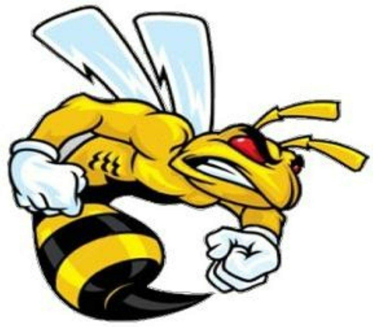 Vintage Dodge Super BEE Fighter Vinyl Sticker Decal - 4