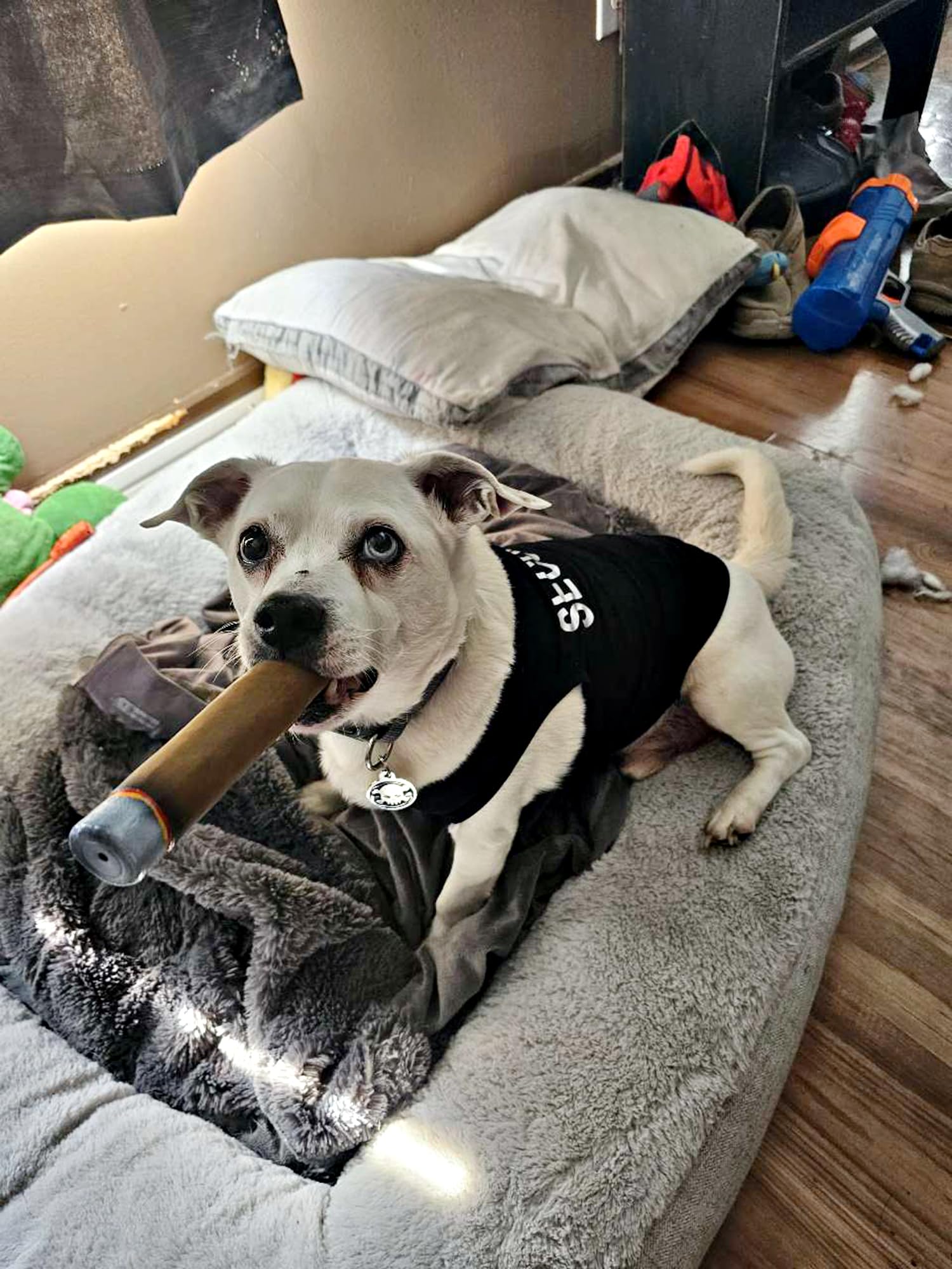 **Squeaky Cigar Dog Chew Toys - Latex Interactive Puppy Teething Toys for Small & Medium Breeds - Fun Imitation Cigar for Playtime & Training (Brown) - Perfect for Indoor & Outdoor Play, Boredom Relief**