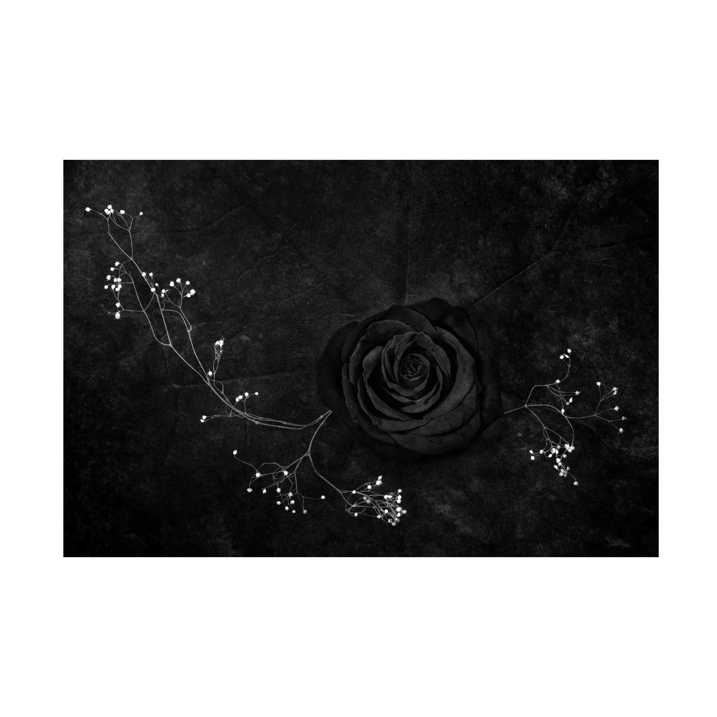 Stephen Clough 'Rose Noire' Canvas Wall Art Print - Black Rose Floral Painting for Living Room, Bedroom & Office Decor