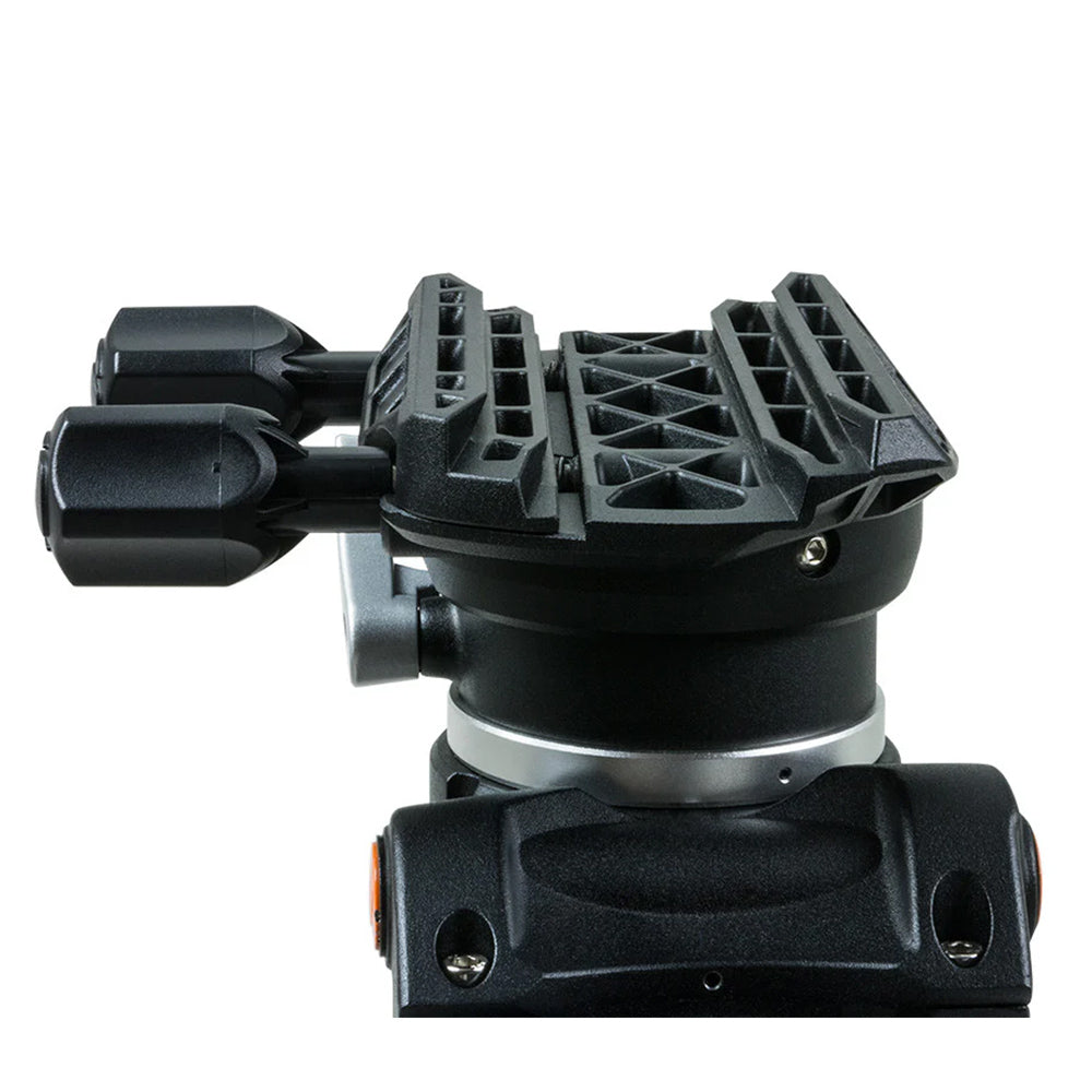 Celestron CGEM II Equatorial Telescope Mount - Premium Astronomy Equipment for Stargazing & Astrophotography | Perfect for Backyard Observing, Deep Space Exploration & Night Sky Photography