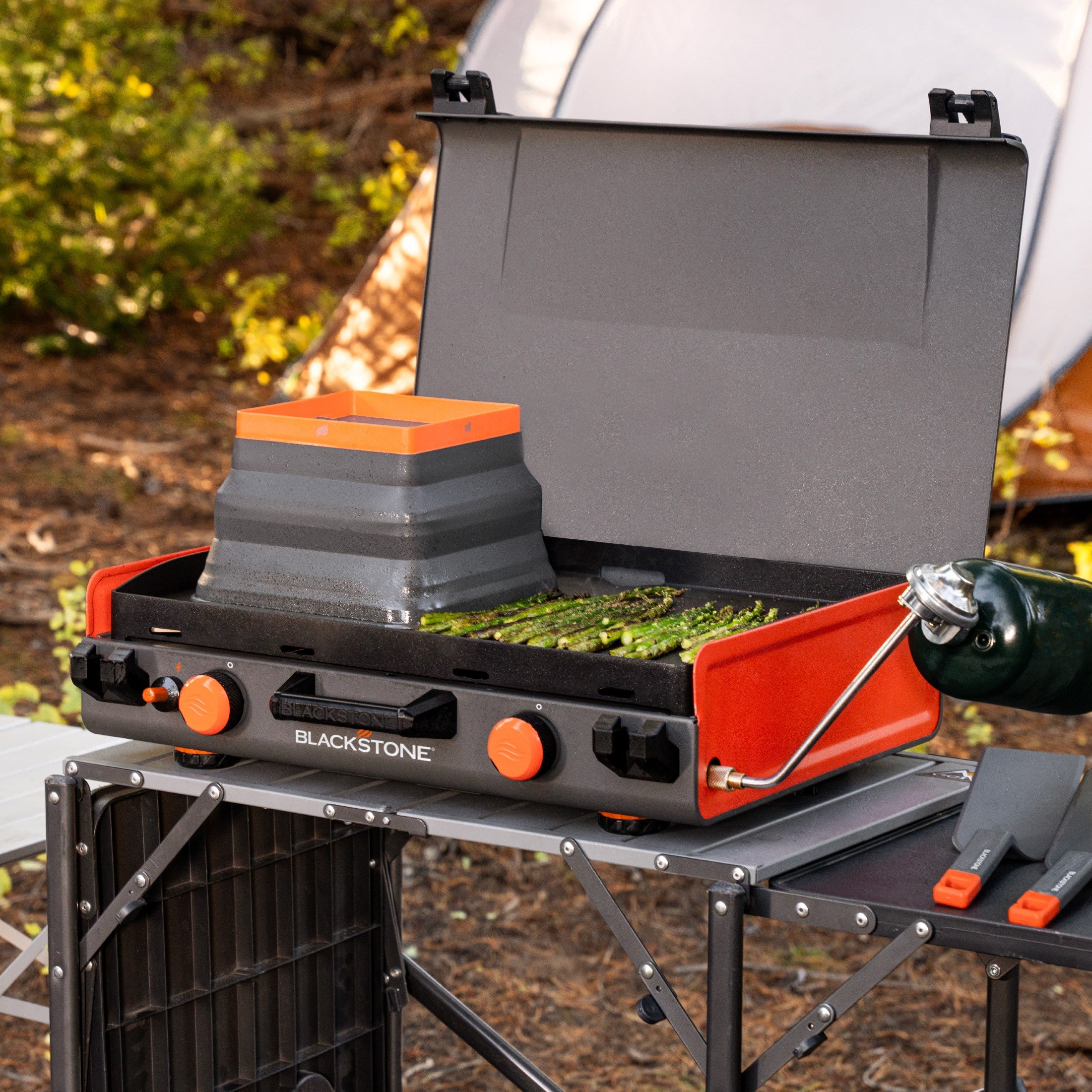 20x14 Inch Heavy Duty Camping Griddle - Non-Stick BBQ Grill Pan for Outdoor Cooking, Picnics, and Backyard Parties
