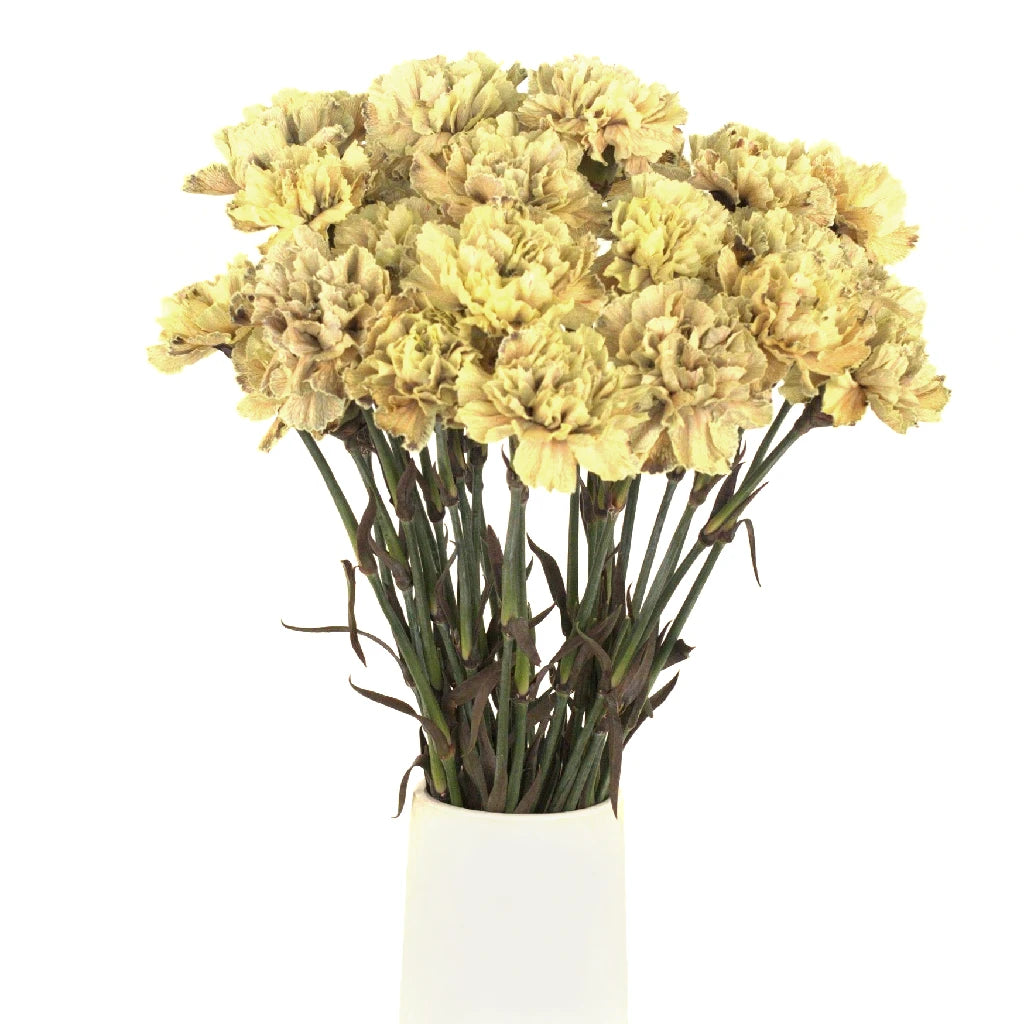 Antique Peach Carnation Silk Flowers - Realistic Artificial Floral Arrangements for Home Decor, Wedding Centerpieces, and DIY Crafts