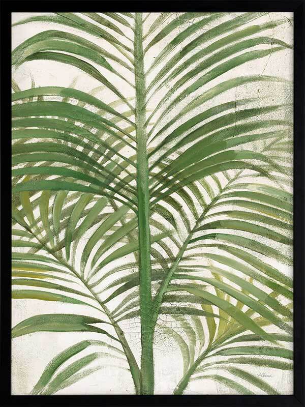 Areca Palm II Framed Art Print - Tropical Plant Wall Decor for Living Room, Office & Bedroom - Ready to Hang Home Decor