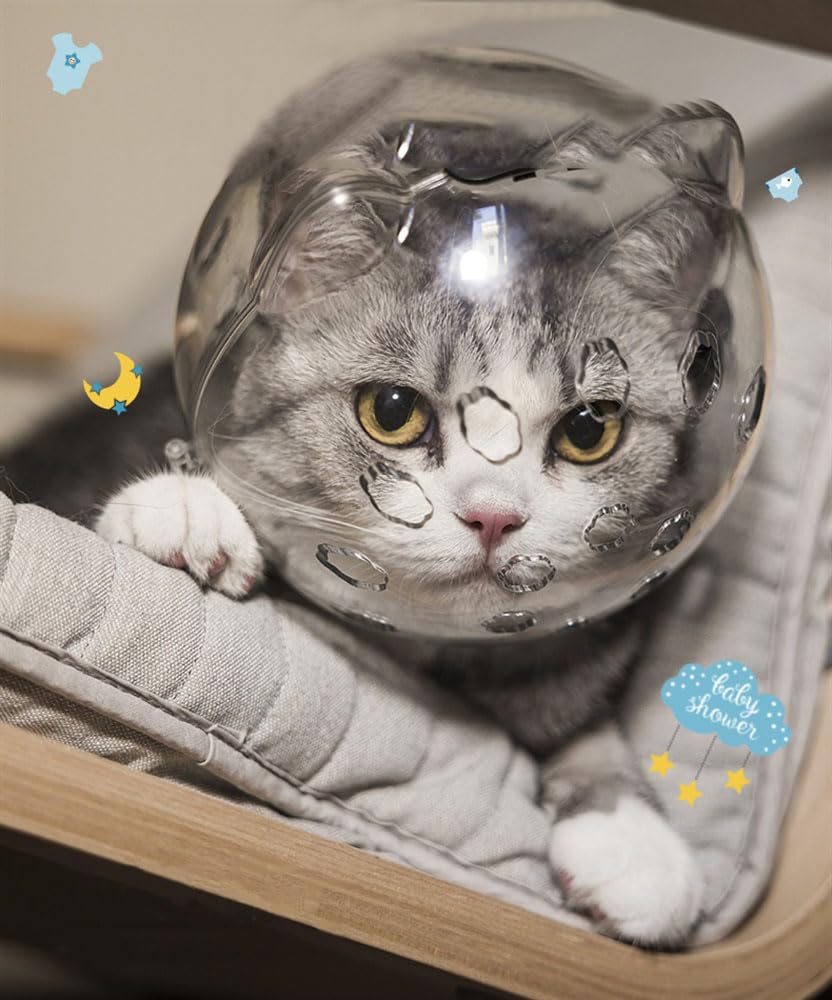 Breathable Adjustable Cat Muzzle - Transparent Kitten Astronaut Helmet for Aggressive Cats - Prevent Biting, Chewing & Grooming - Safe Bubble Mask for Vet Visits & Grooming Sessions (Size M)