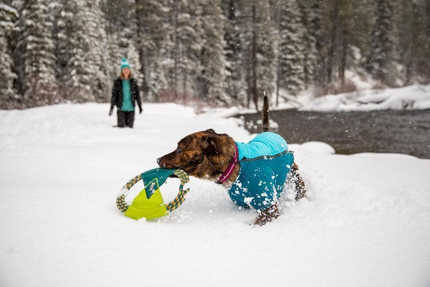 Ruffwear® Pacific Ring Dog Toy - Orange/Yellow Chew-Resistant Fetch & Tug Toy for Active Dogs - Perfect for Outdoor Play, Training & Water Fun