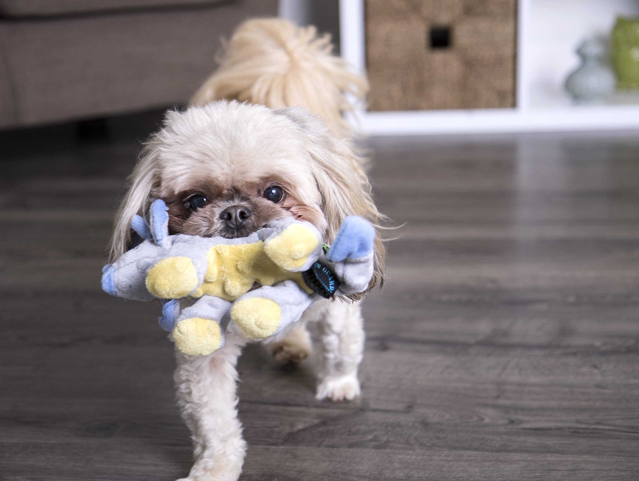 goDog Dinos Frills Squeaky Plush Dog Toy with Chew Guard Technology - Gray Small Dinosaur Chew Toy for Puppies & Small Dogs | Interactive Play, Training Reward, Teething Relief