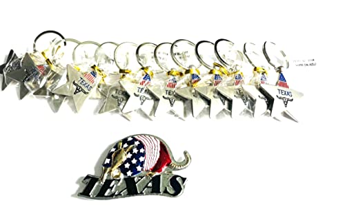Texas Star Longhorn Keychain